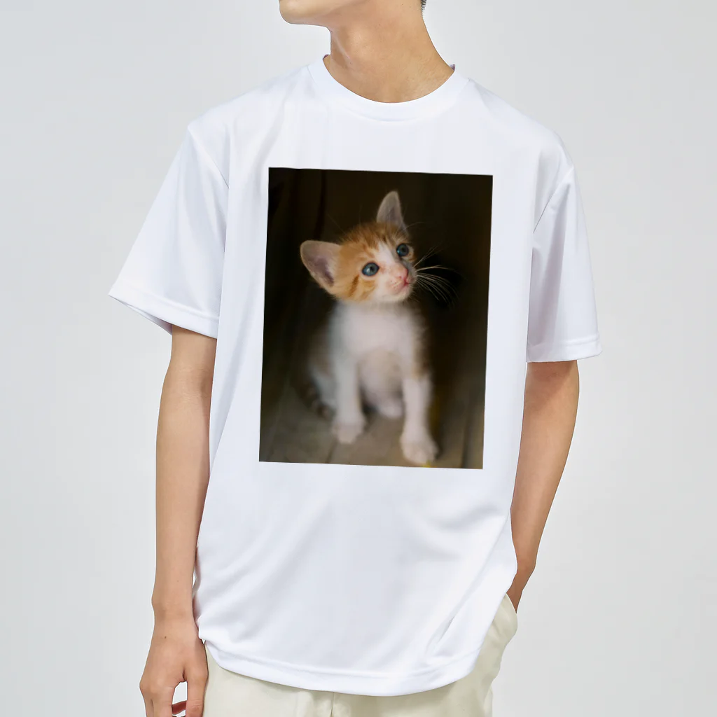 鈴木敏夫の考える　猫ちゃんー Dry T-Shirt