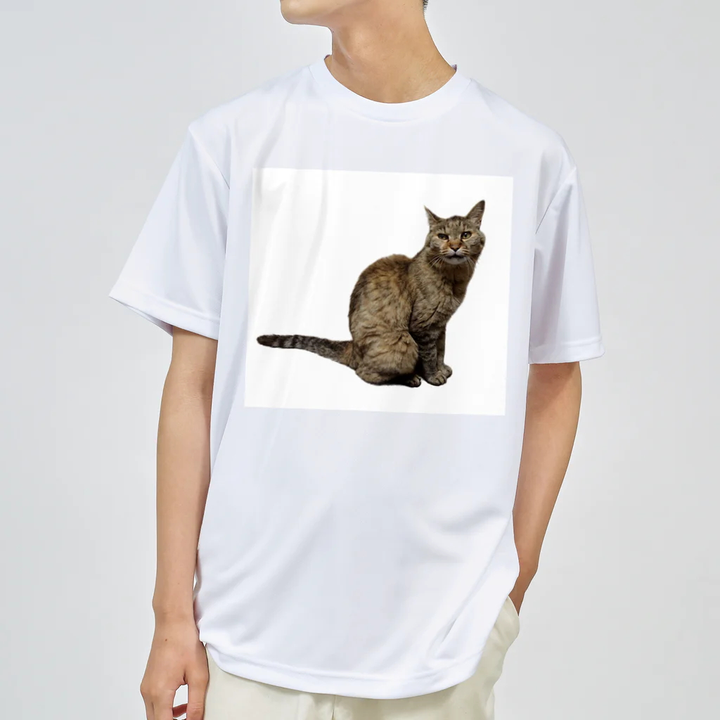 クリスタの保護猫 ポポちゃん Dry T-Shirt