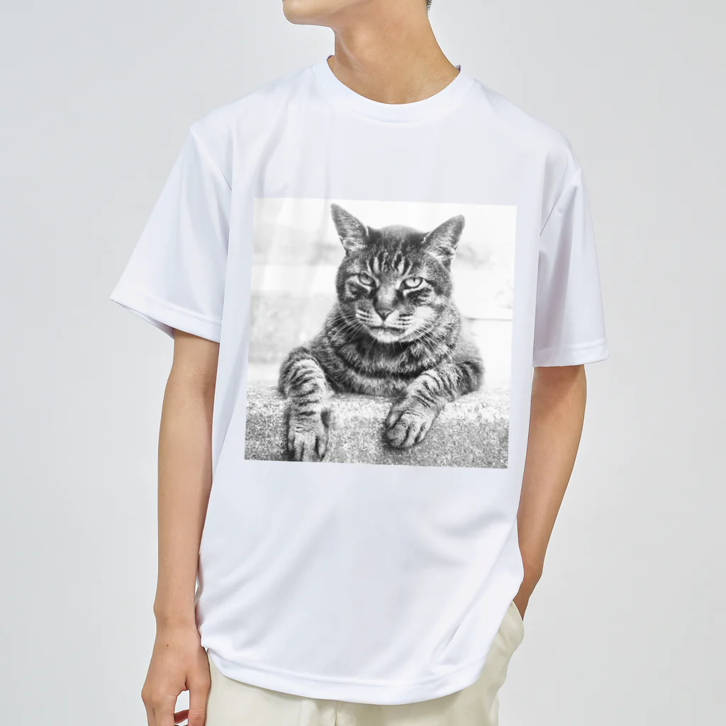 Cafe_antibesのドラちゃん 2 Dry T-Shirt