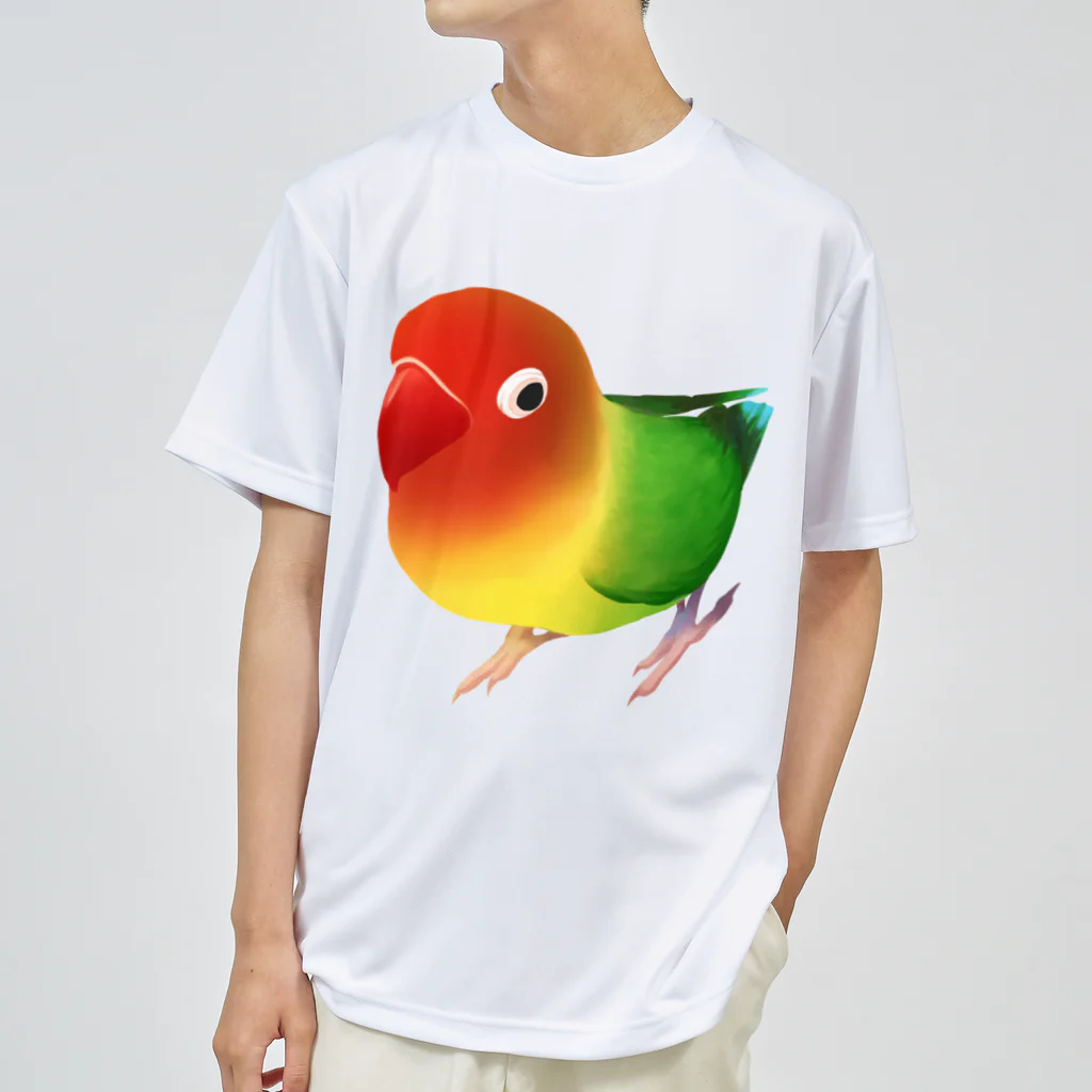 まめるりはことりのボタンインコ　おすましルリゴシボタンインコ【まめるりはことり】 ドライTシャツ