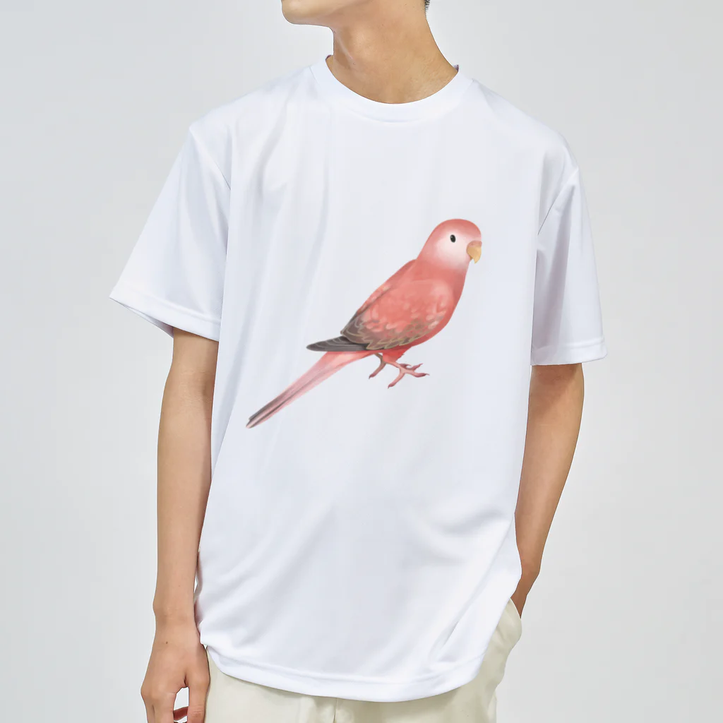 まめるりはことりのアキクサインコ　ピンク【まめるりはことり】 ドライTシャツ