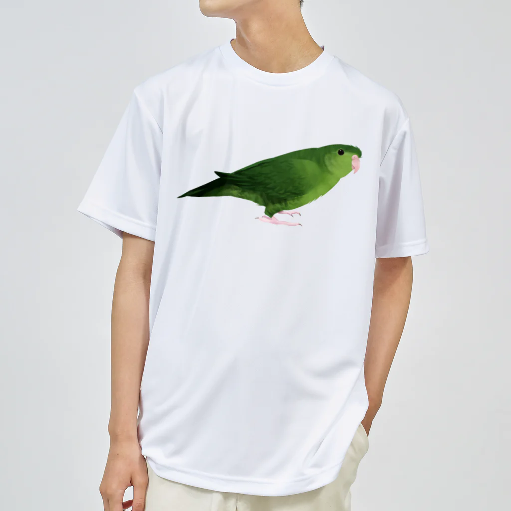 まめるりはことりのサザナミインコ　グリーン【まめるりはことり】 ドライTシャツ