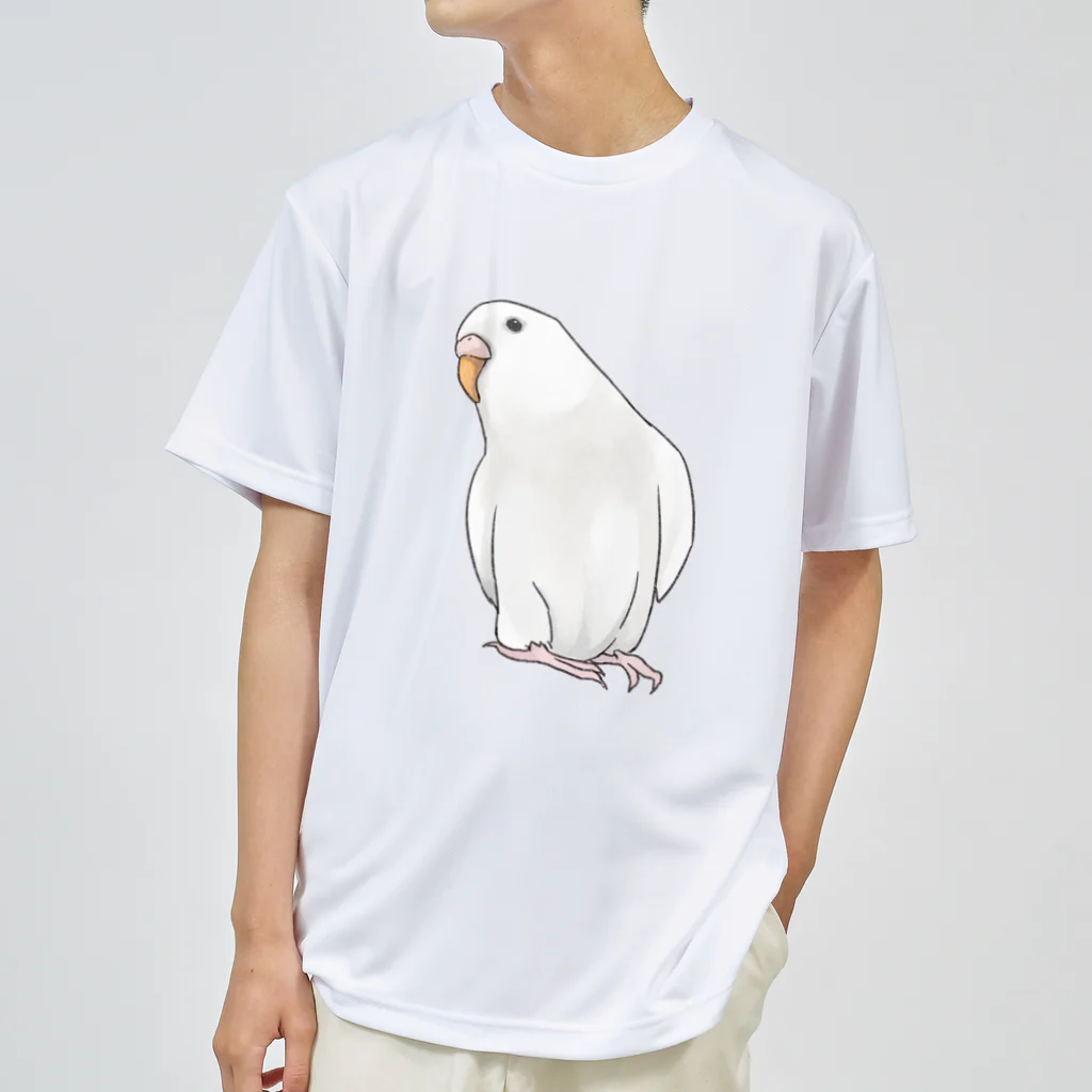 まめるりはことりのアルビノセキセイインコちゃん【まめるりはことり】 ドライTシャツ