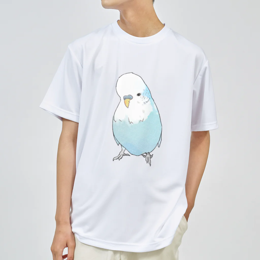 まめるりはことりの可愛いジャンボセキセイインコ【まめるりはことり】 ドライTシャツ