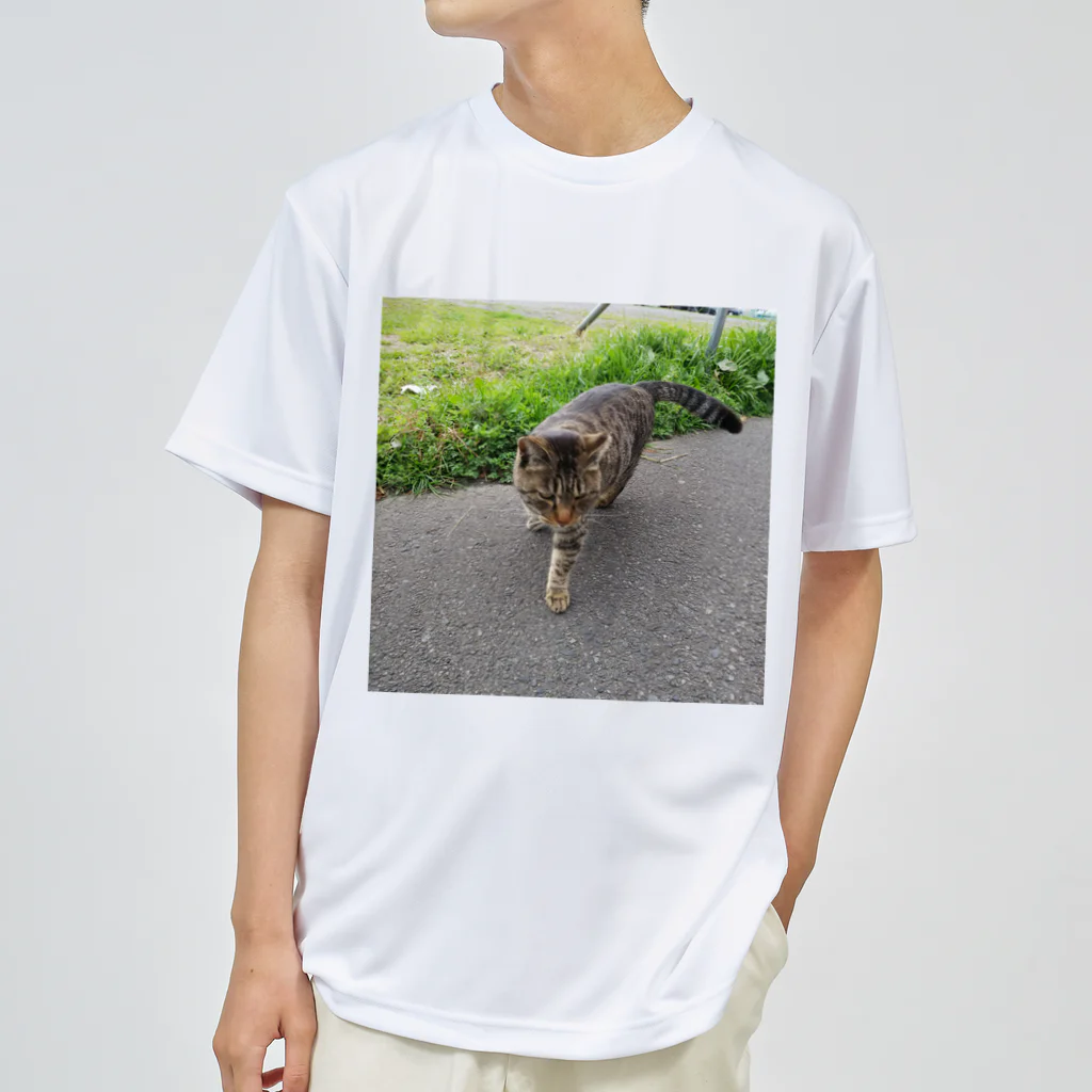 ながしっぽ from.さくらねこの家のとらちゃん　type.D Dry T-Shirt