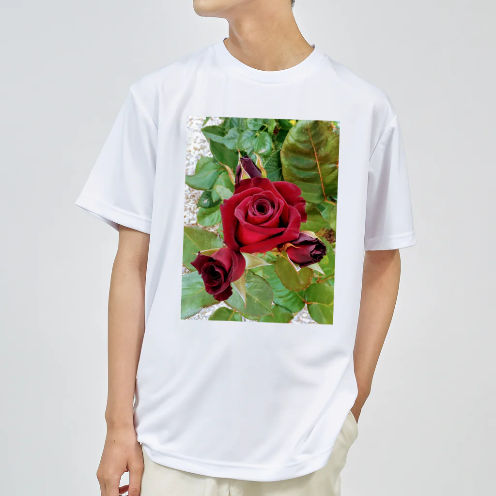 猫のhananyanの薔薇が咲いた～薔薇が咲いた～真っ赤な薔薇が～♩ Dry T-Shirt