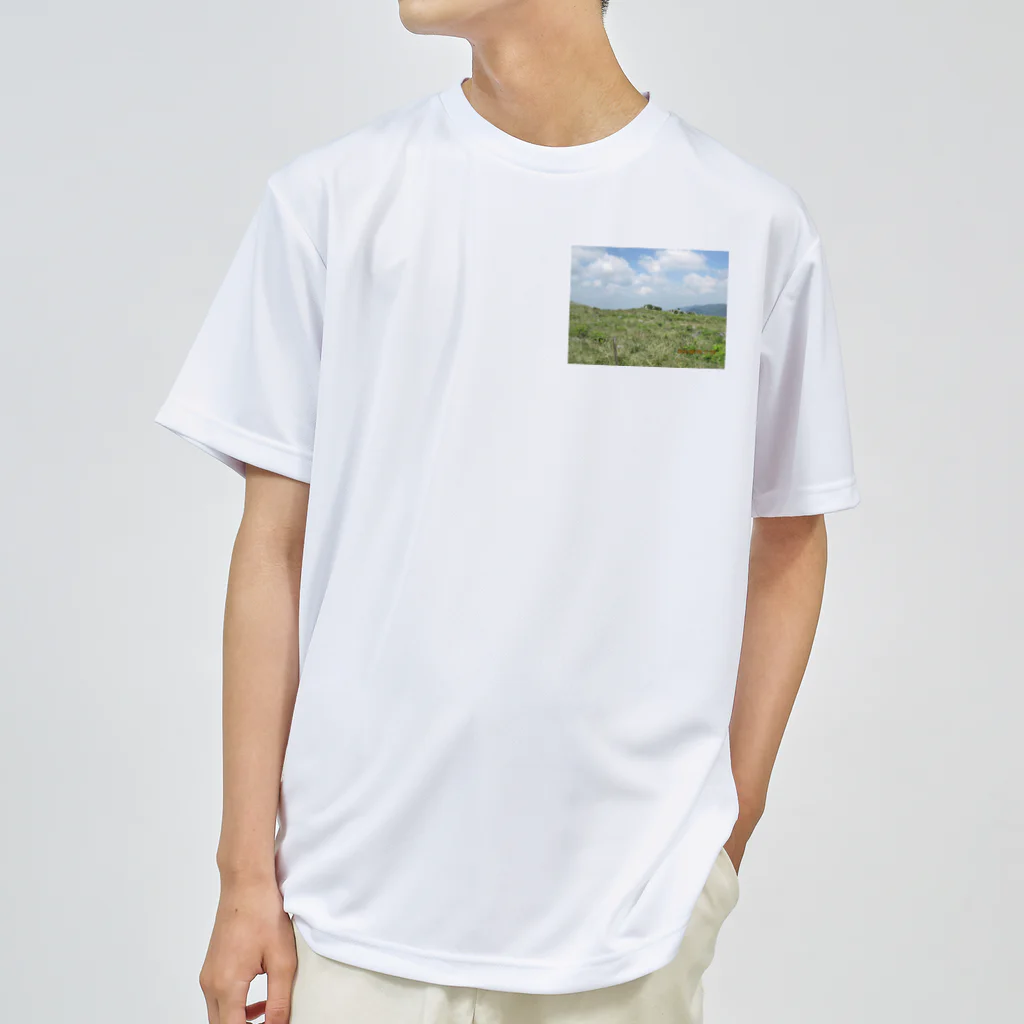 チャレンジャーニシヤマショップの四国カルストの風景 Dry T-Shirt