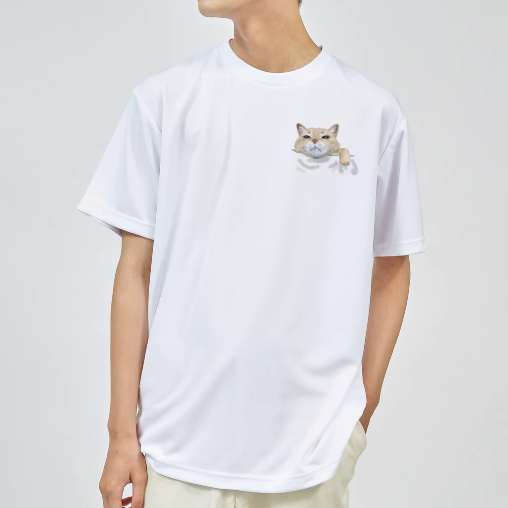 猫とやっし～ぃのアレコレの茶トラ猫がお供します ドライTシャツ