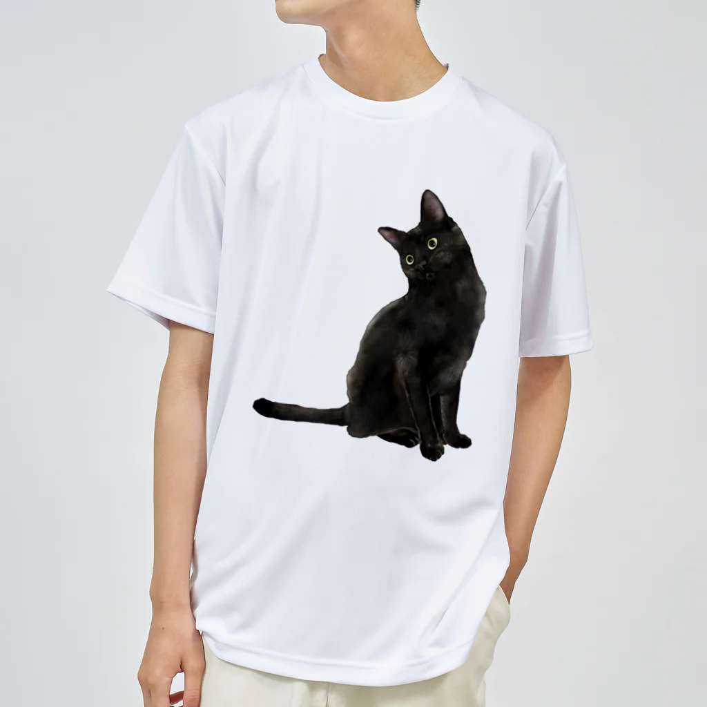 猫のイラスト ブラック Tシャツ xxsサイズ 猫のイラスト ブラック Tシャツ xxsサイズ