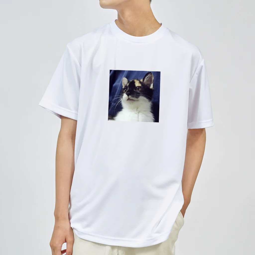 あ͓̽き͓̽ら͓̽の家にいるウリ ドライTシャツ