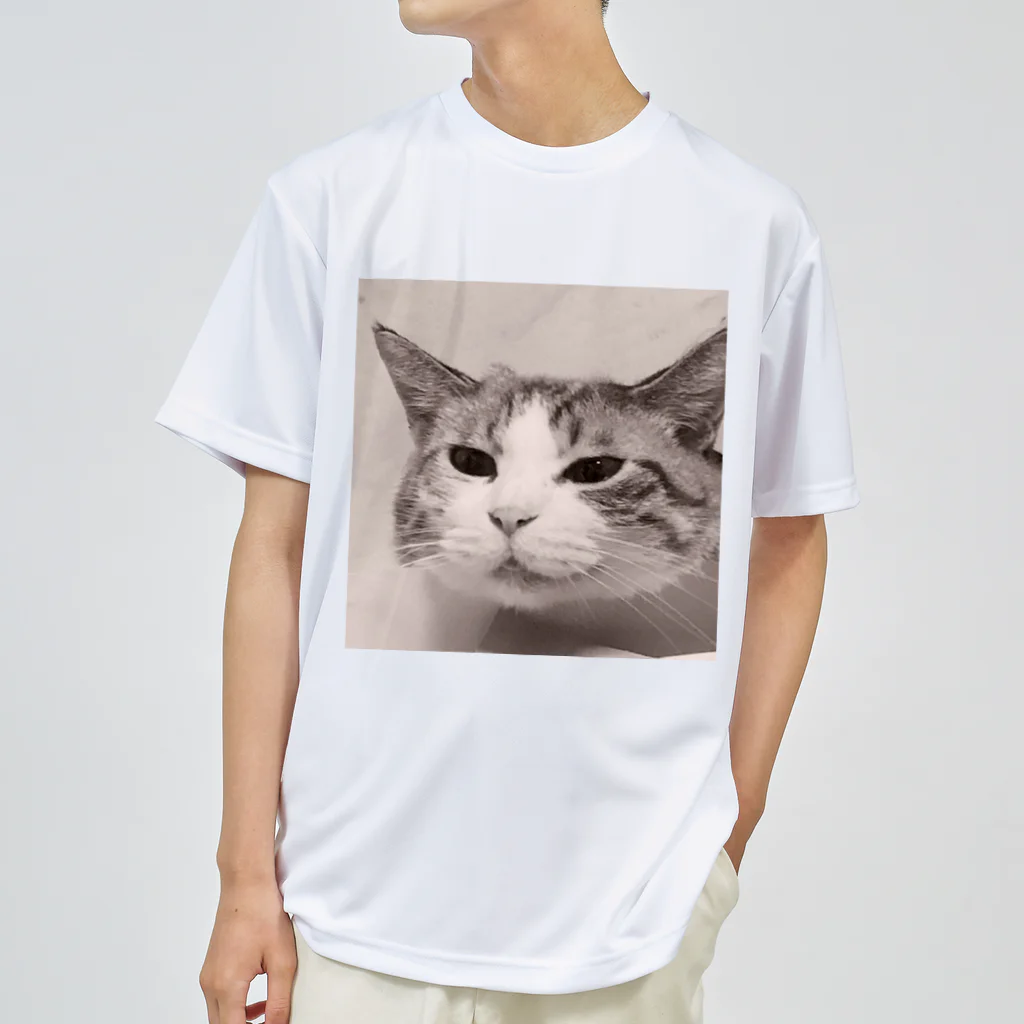 ジョリーマンダリンのSneezing cat ドライTシャツ