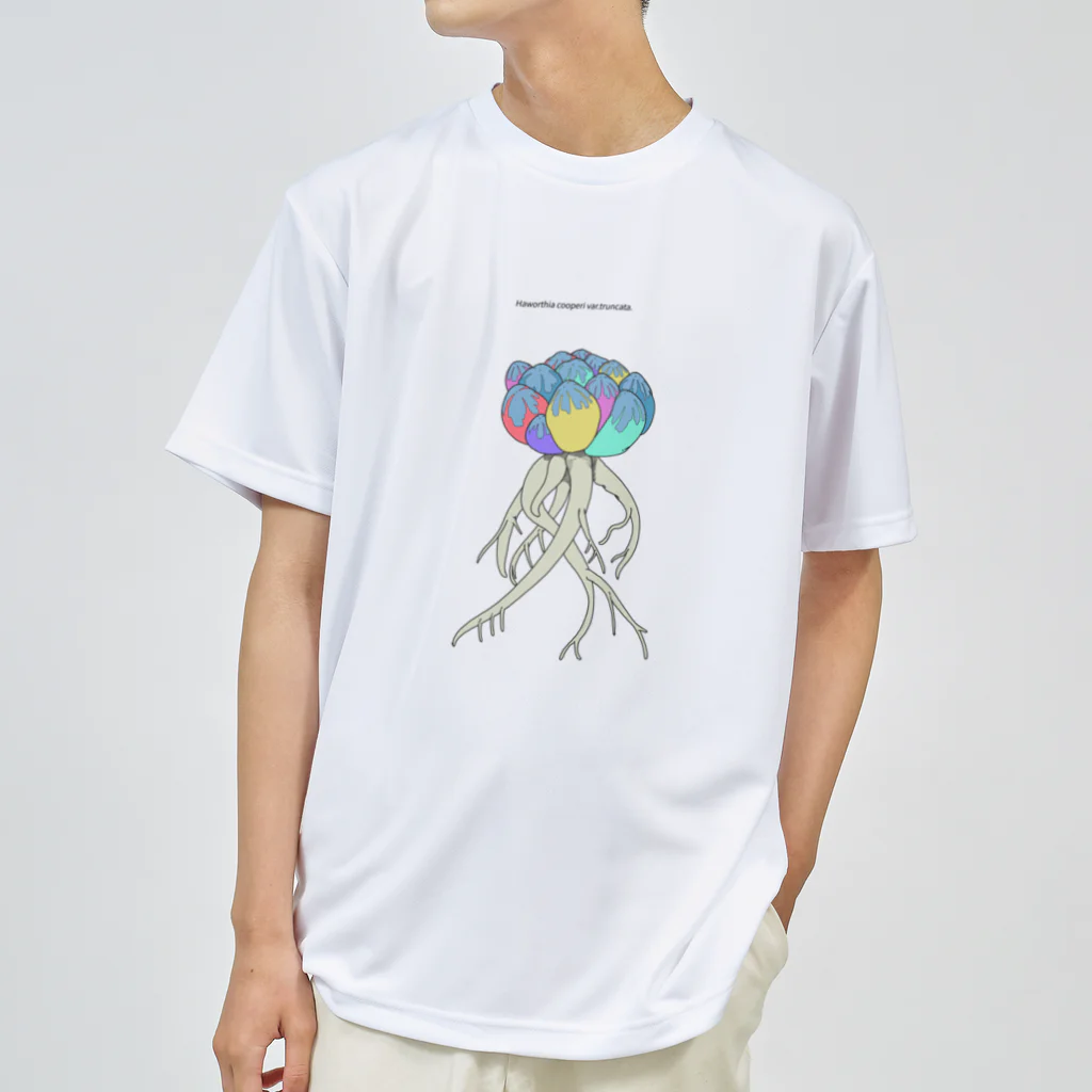 キョムノの多肉植物　ハオルチア ドライTシャツ