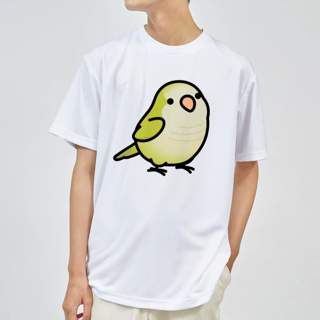 Cody the LovebirdのChubby Bird オキナインコ ドライTシャツ