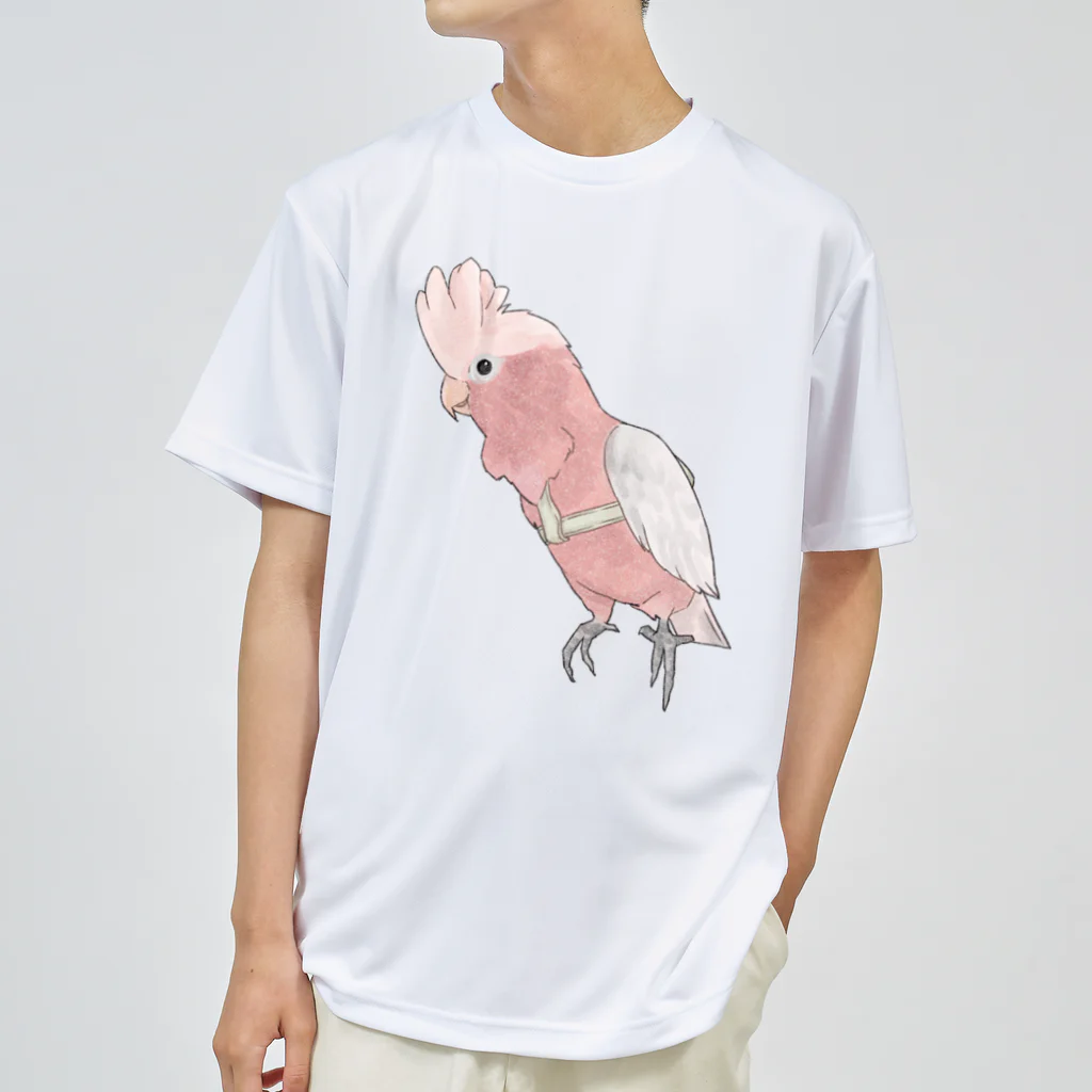 まめるりはことりのご機嫌モモイロインコちゃん【まめるりはことり】 ドライTシャツ