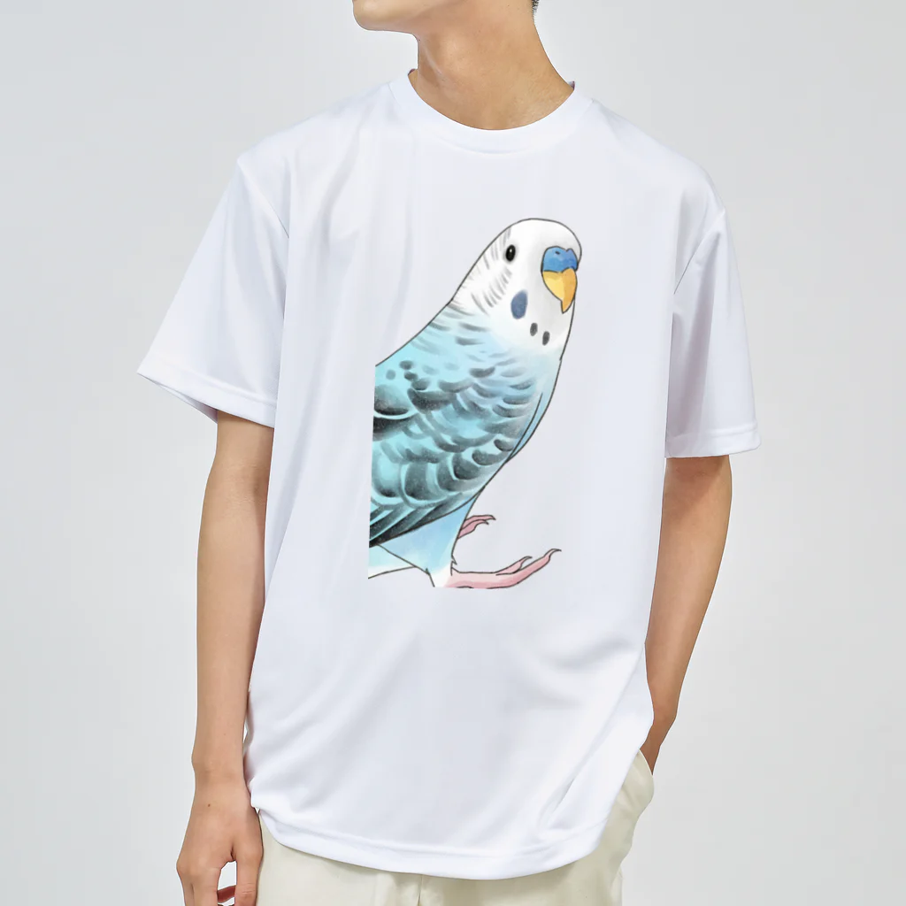 まめるりはことりの振りむきセキセイインコちゃん【まめるりはことり】 ドライTシャツ