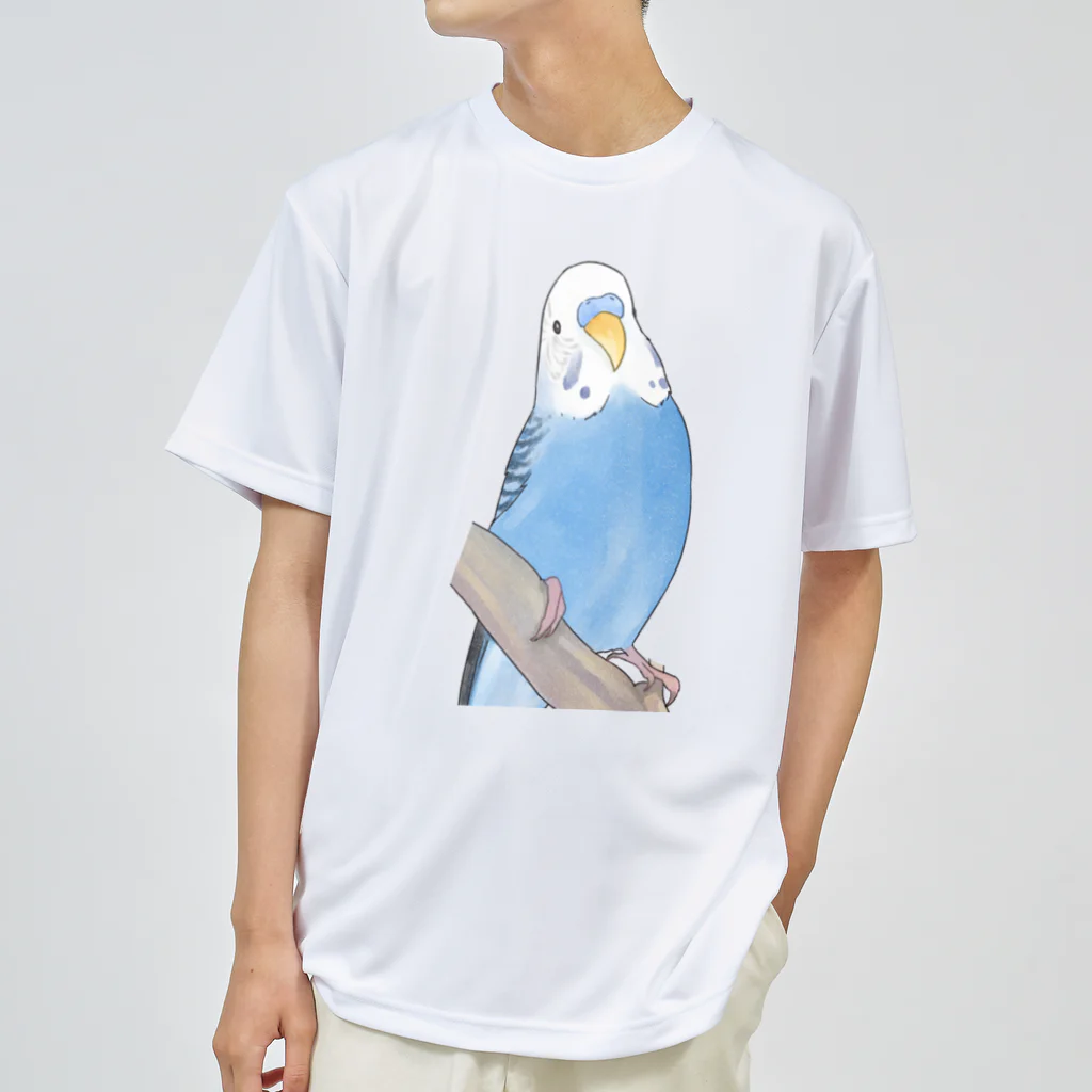 まめるりはことりのセキセイインコちゃんと止まり木【まめるりはことり】 ドライTシャツ