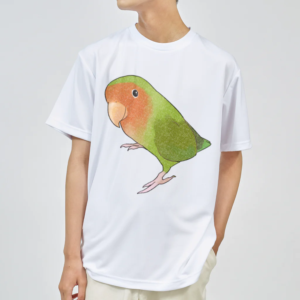 まめるりはことりの見つめるコザクラインコちゃん【まめるりはことり】 Dry T-Shirt