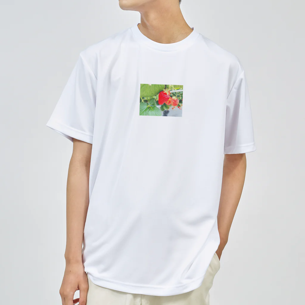 癒しショップのストロベリーちゃん Dry T-Shirt