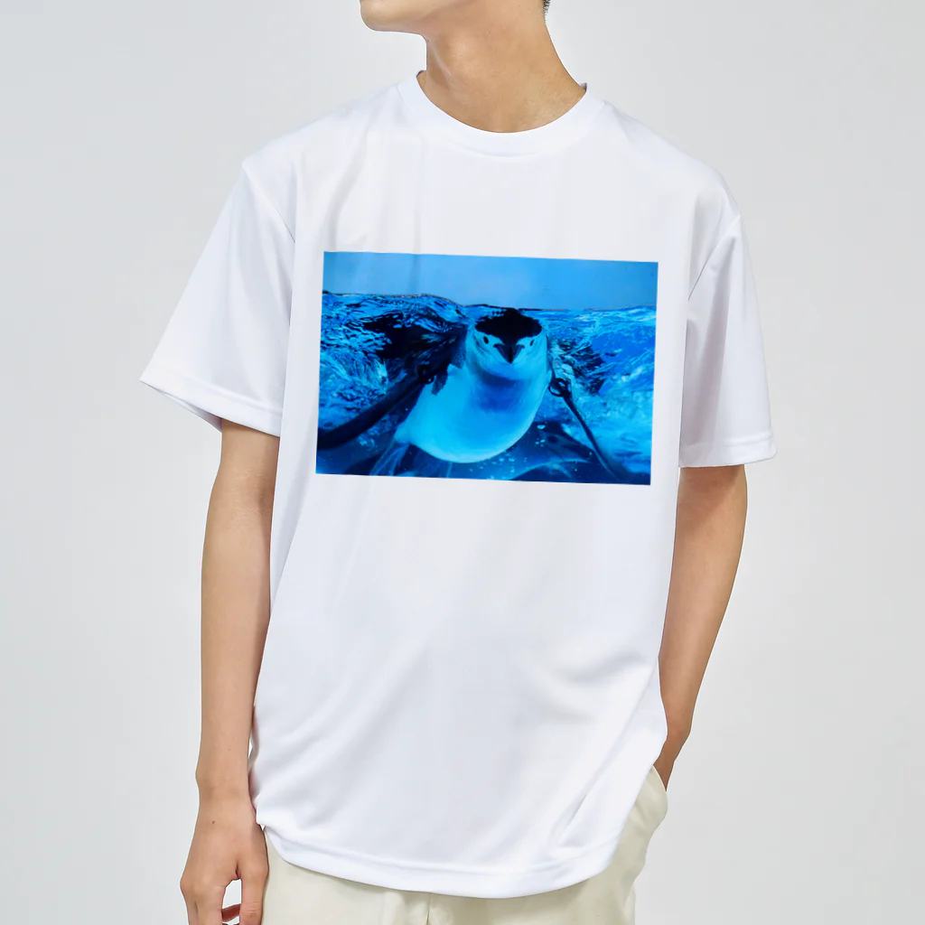 ペンギンの写真のヒゲペンギン　写真　リアル ドライTシャツ