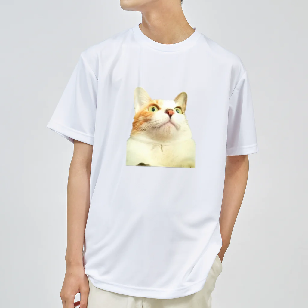 佐内 陽斗の猫のネネちゃん ドライTシャツ