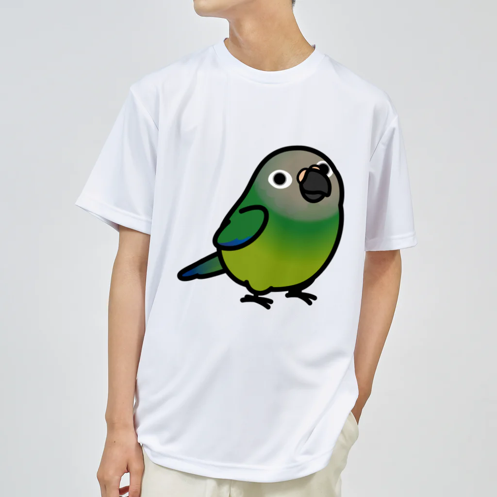 Cody the LovebirdのChubby Bird シモフリインコ ドライTシャツ