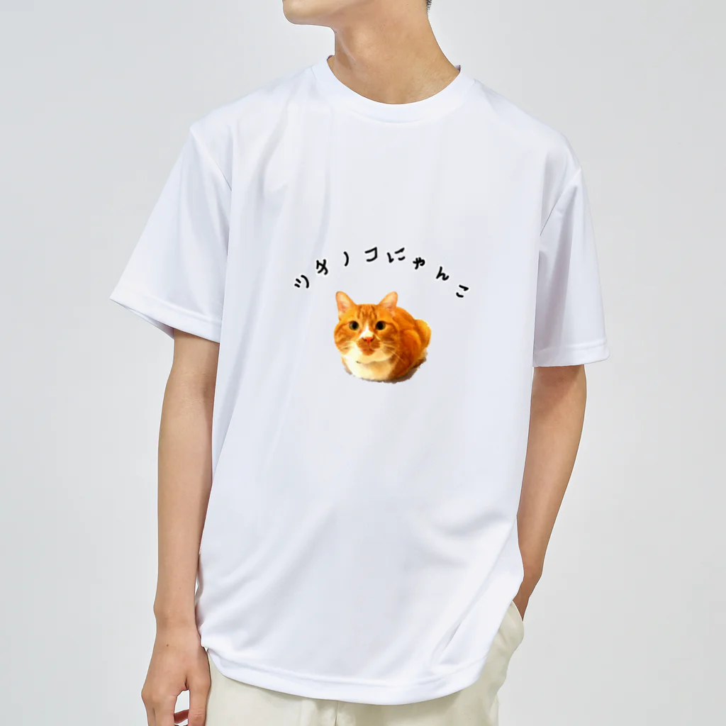 ふくみつのウチのねこ Dry T-Shirt