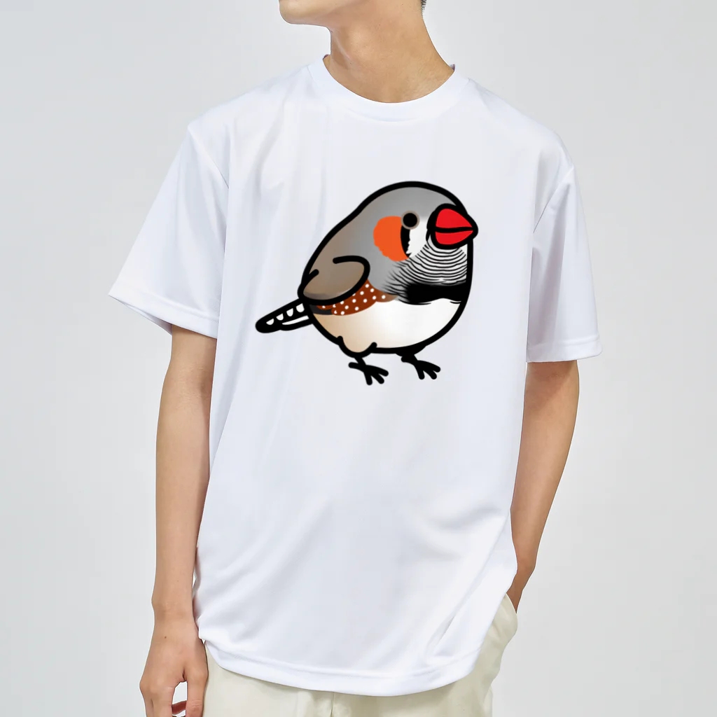 Cody the LovebirdのChubby Bird キンカチョウ ドライTシャツ