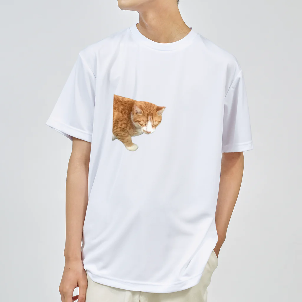 高橋のひょっこり猫 ドライTシャツ