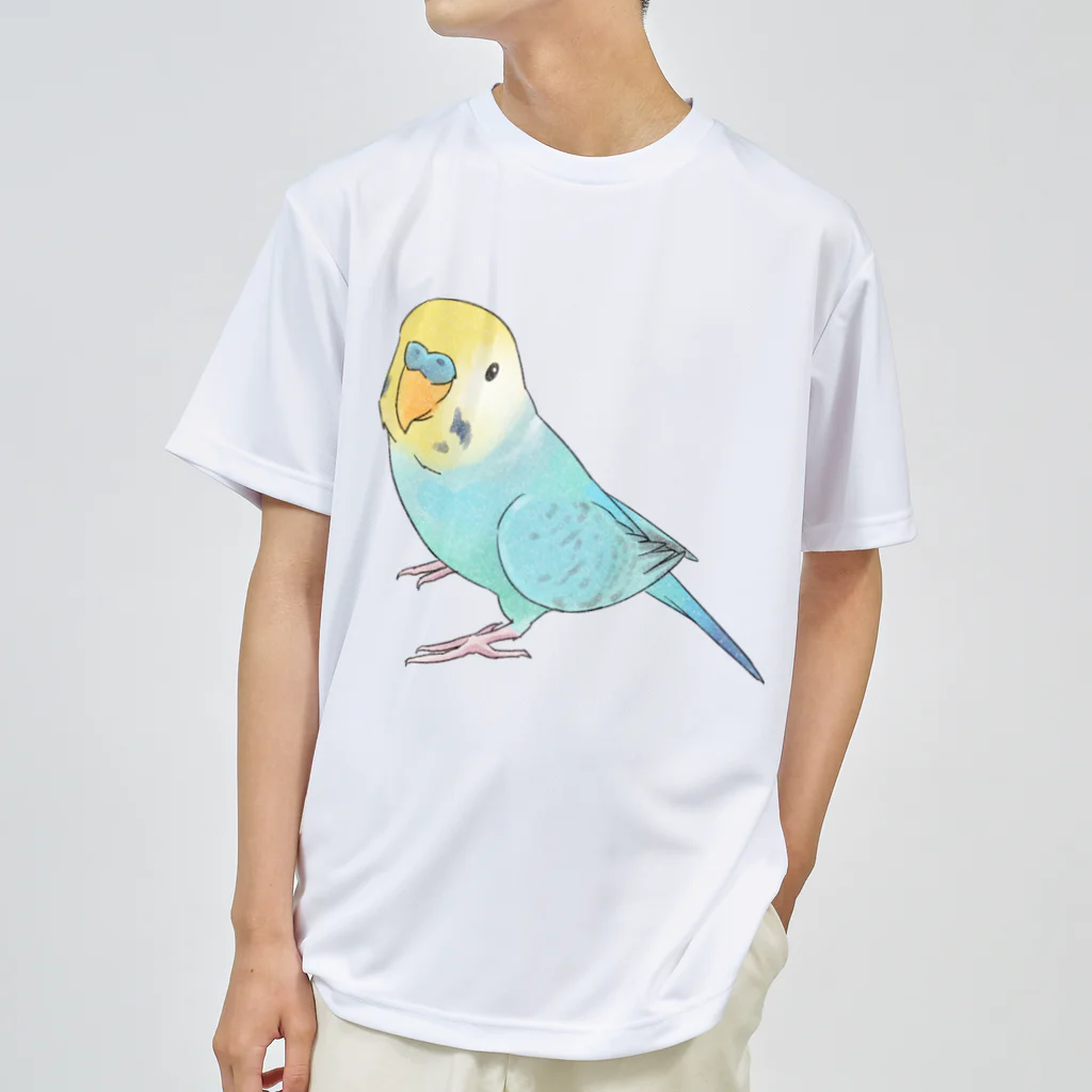 まめるりはことりの見上げるセキセイインコちゃん【まめるりはことり】 ドライTシャツ