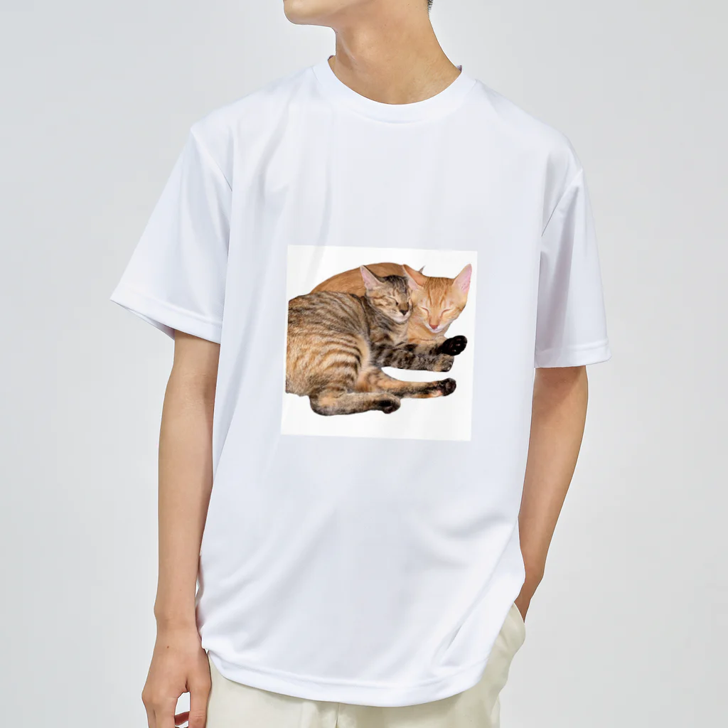 ChoboTora24の眠り猫ちゃん達 ドライTシャツ