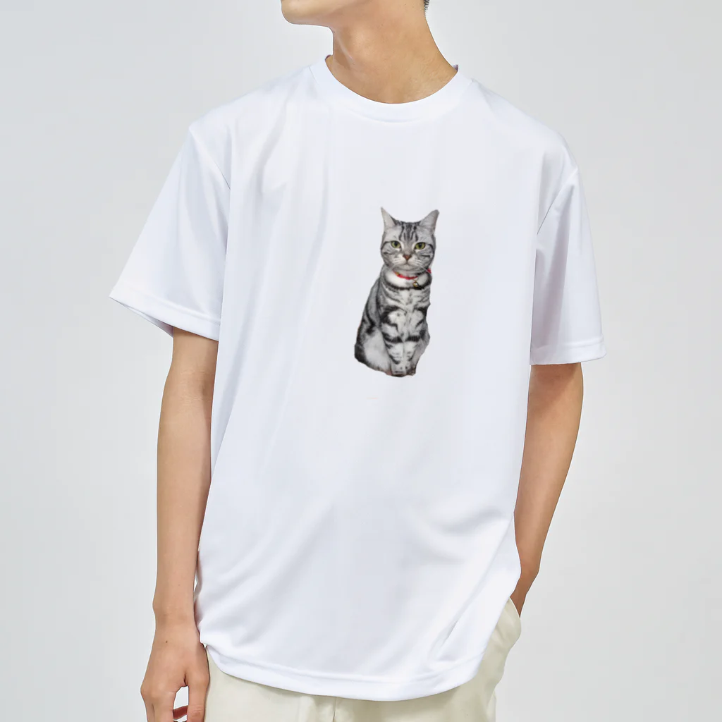 トォーラ🐈の猫のトォーラ Dry T-Shirt