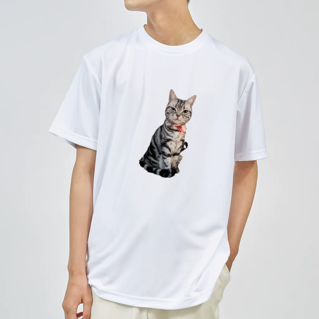 トォーラ🐈の猫のトォーラ Dry T-Shirt