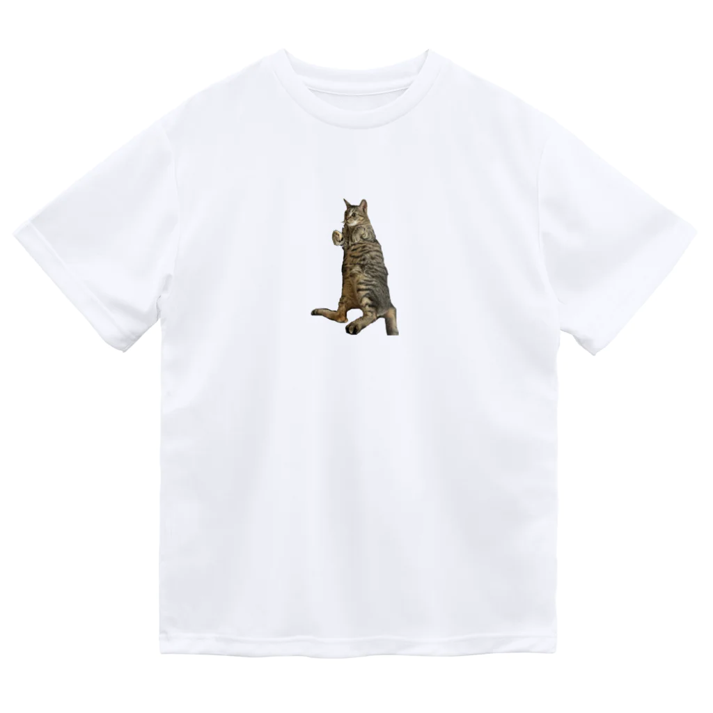 キリちゃんつくるぞのしびしびキリちゃん Dry T-Shirt