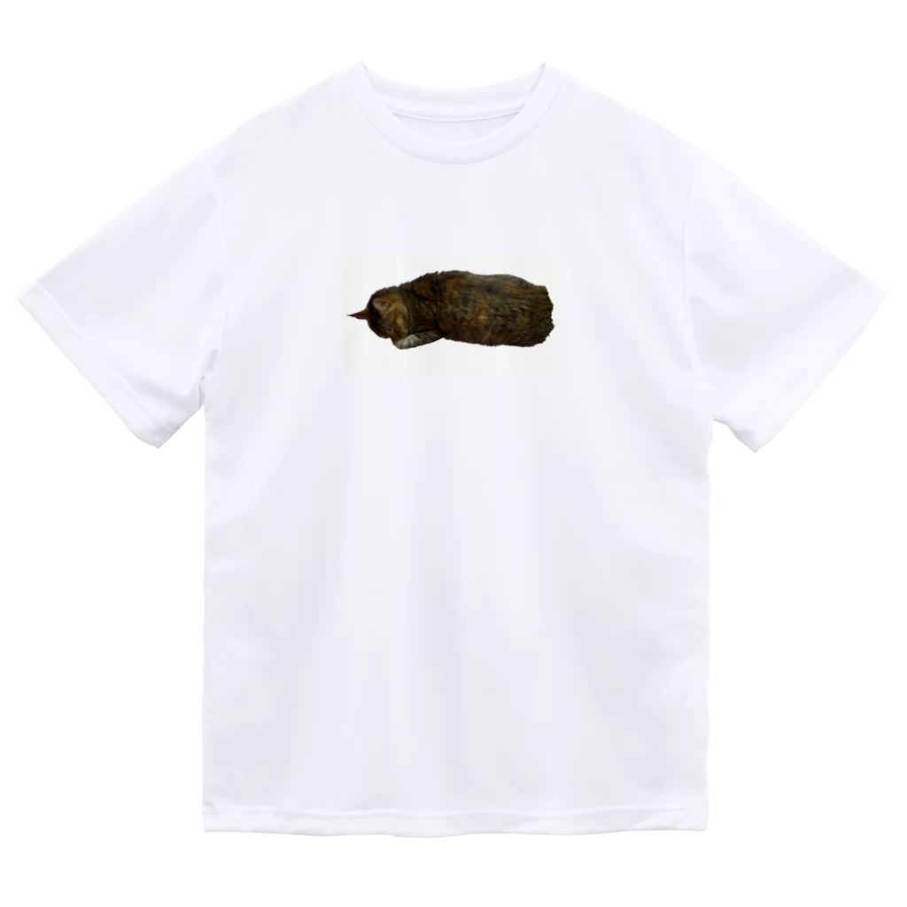 キジトラかもしれないのおねむ猫 Dry T-Shirt