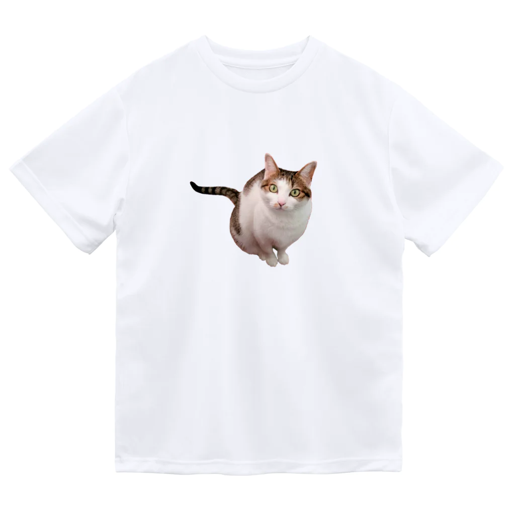 桃くるみSHOPの遊んでにゃん Dry T-Shirt