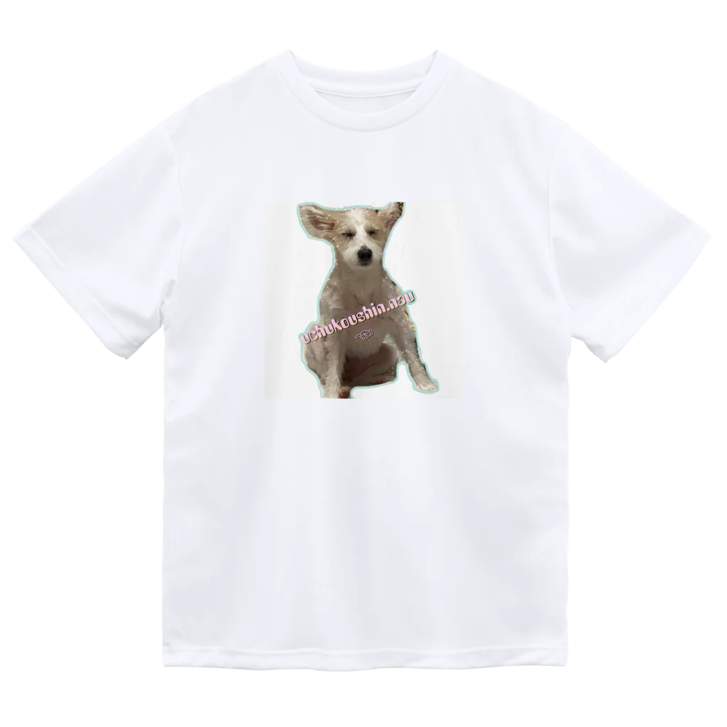 wどうぶつのぽんぽこみ Dry T-Shirt