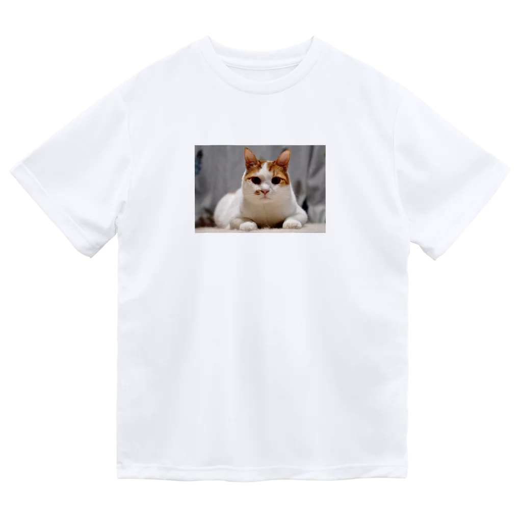 こななのねこたくん Dry T-Shirt