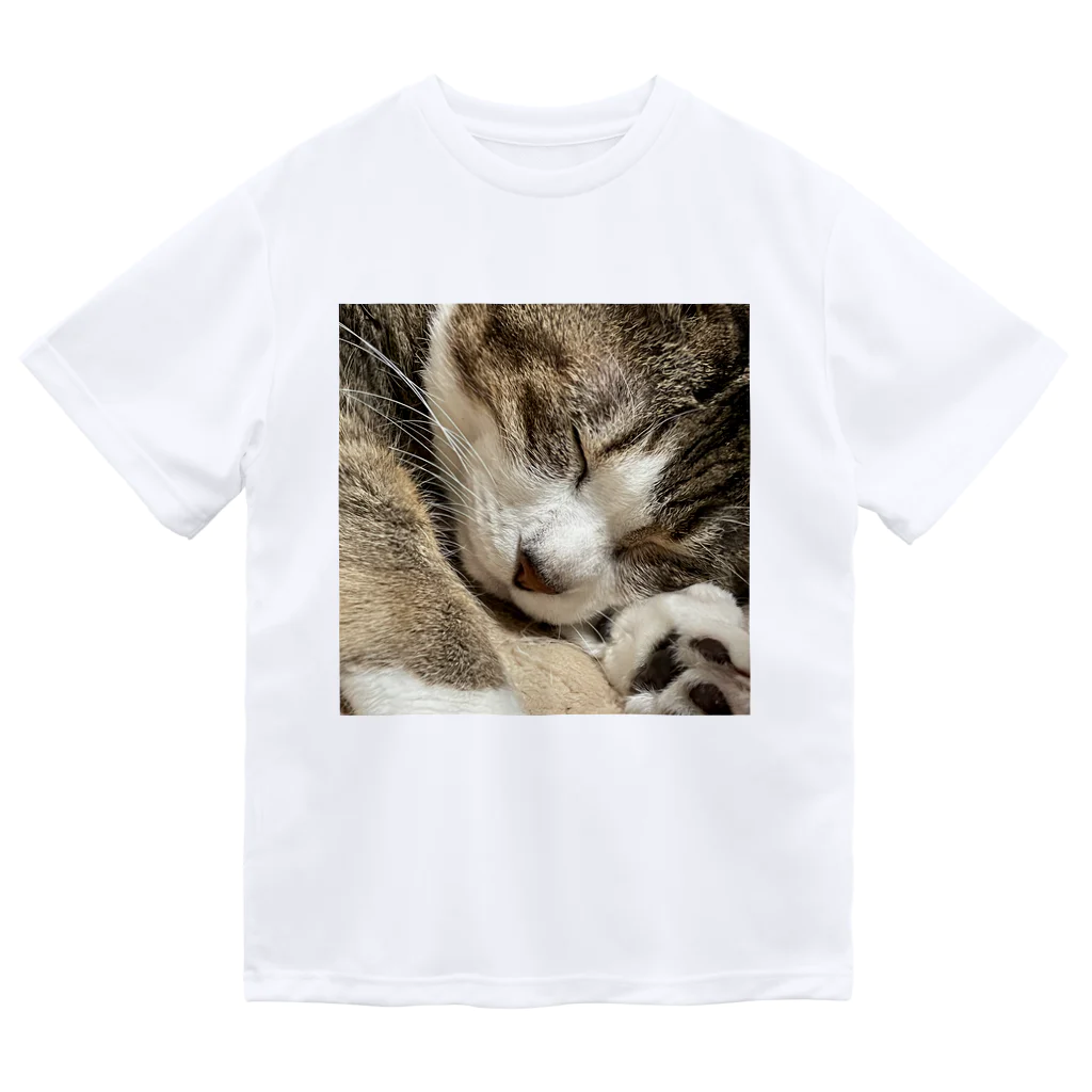 あゆのしおやきの猫(キジシロ) ドライTシャツ