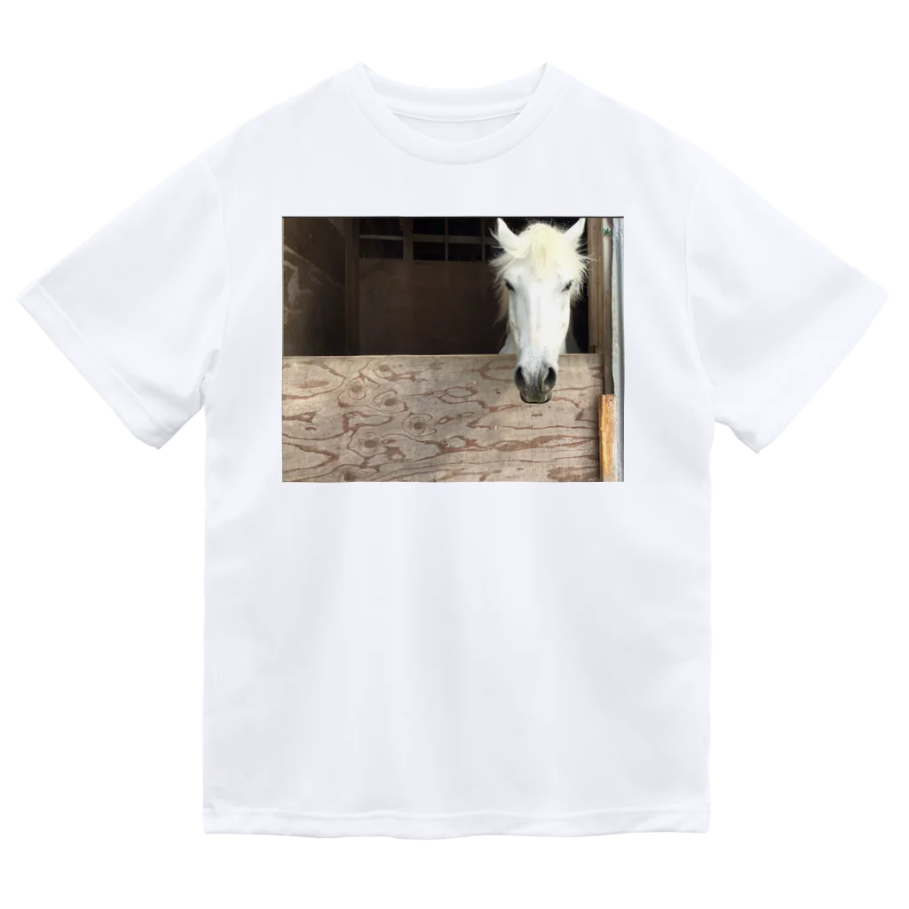 カエルの馬だよーん Dry T-Shirt