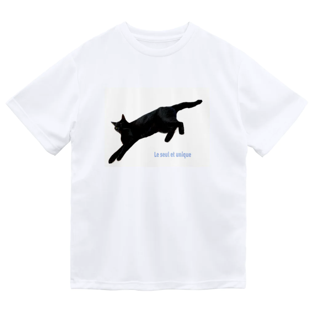 a sweet farmのきょうの黒猫 ドライTシャツ