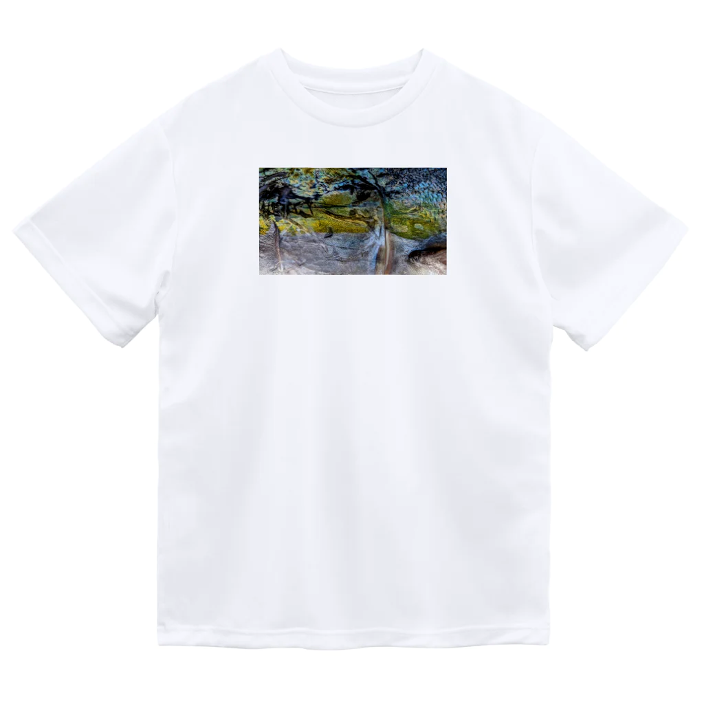 wefishの北海ブリ ドライTシャツ