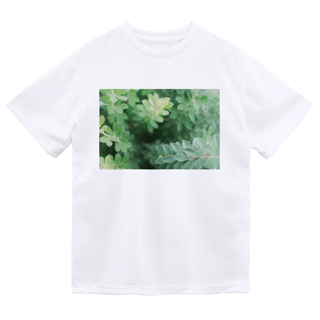 TATTUの花壇の植物 ドライTシャツ