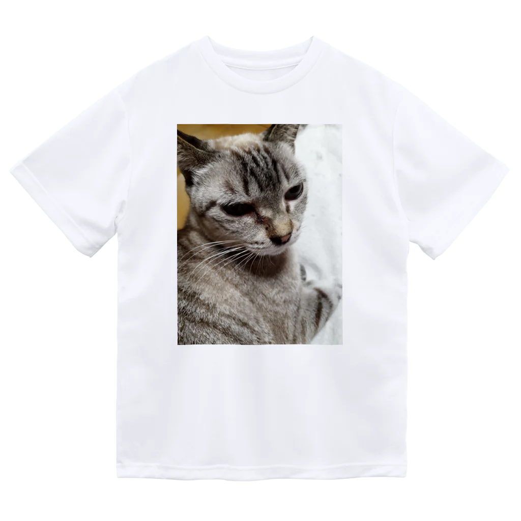 ねこの森でお散歩のさあ、モフりなさいよ。 Dry T-Shirt