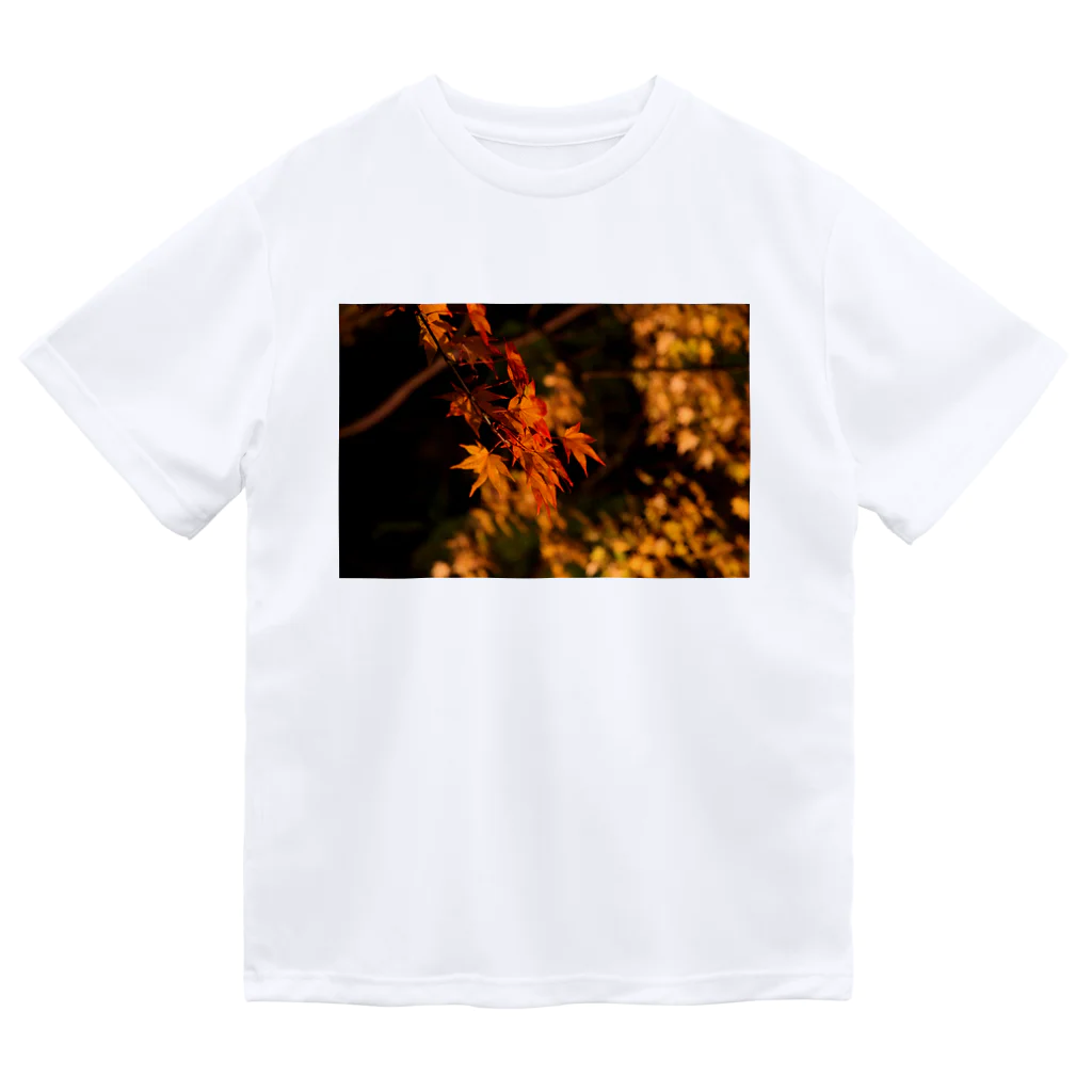 nokkccaのライトアップ紅葉 - Japanese maple(night shot) - ドライTシャツ