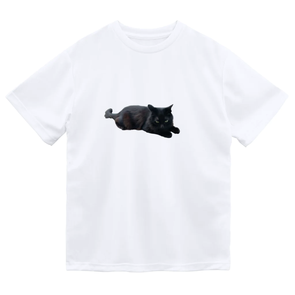 tyabu_lateの撫で待ち！くろちゃん Dry T-Shirt