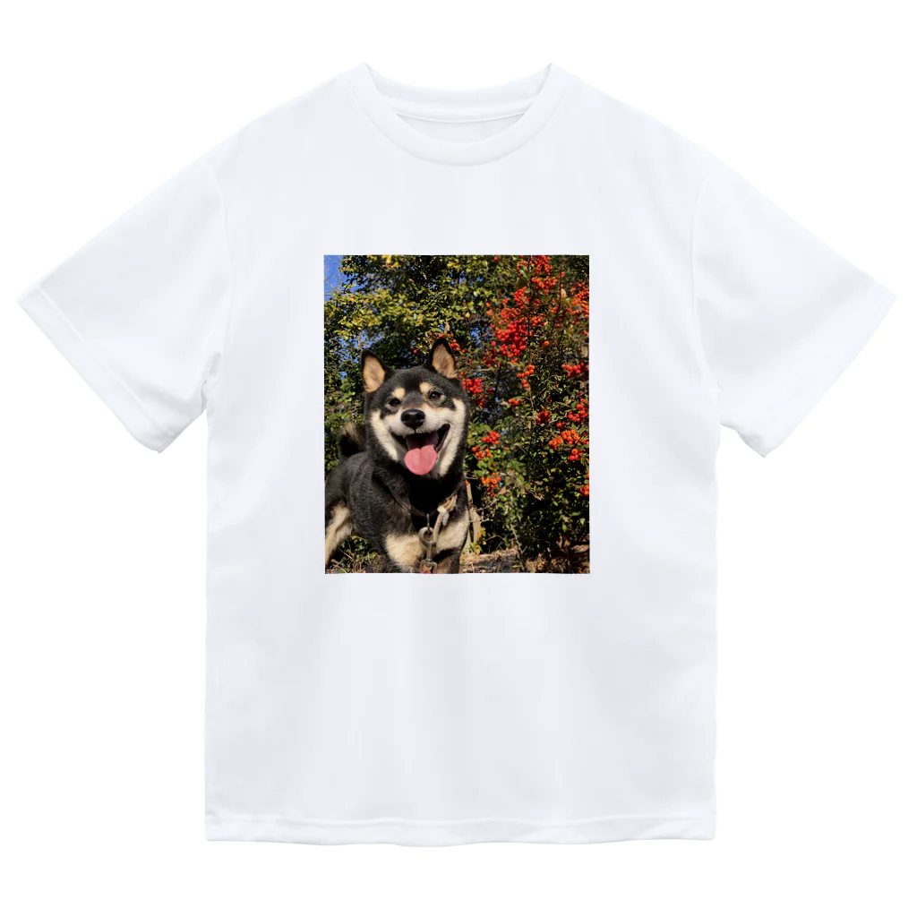 柴犬けんたろー。の柴犬のけんたろー ドライTシャツ