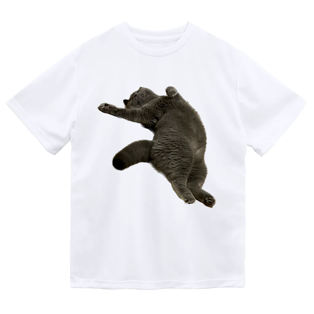 むっちり猫のむっちり丸のお腹ぽっこりむっちり丸 ドライTシャツ