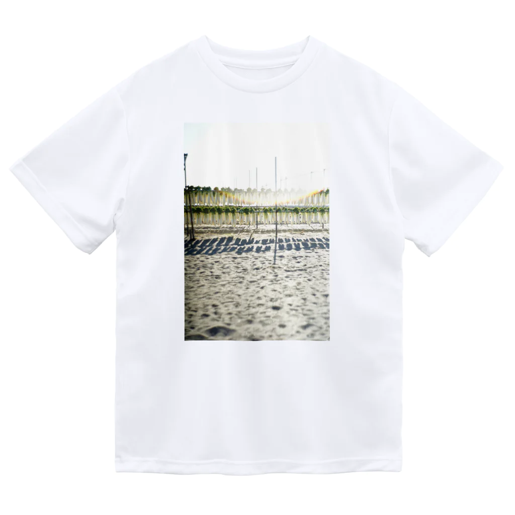 写真好き@いぐの三浦海岸の冬場の名物 ドライTシャツ