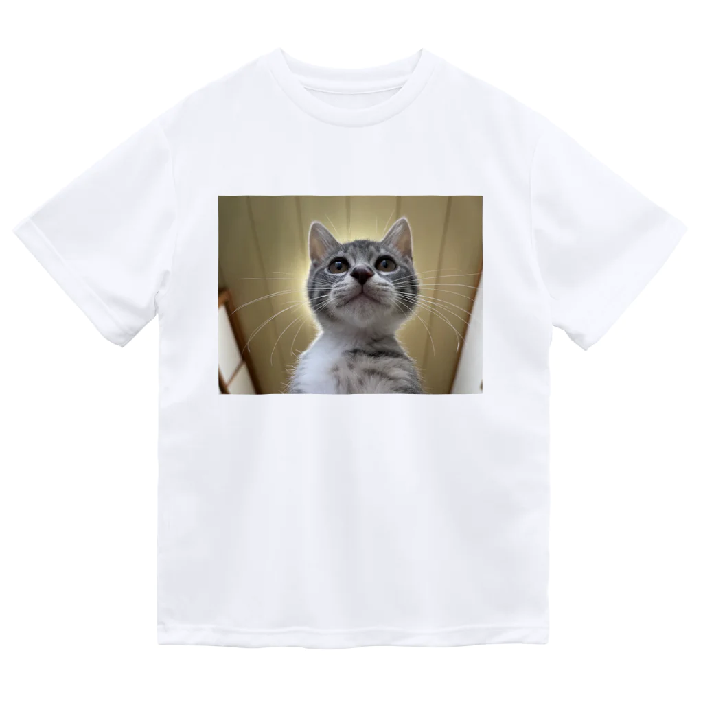 Vegeta_cat22の保護猫ベジータ　神 ドライTシャツ