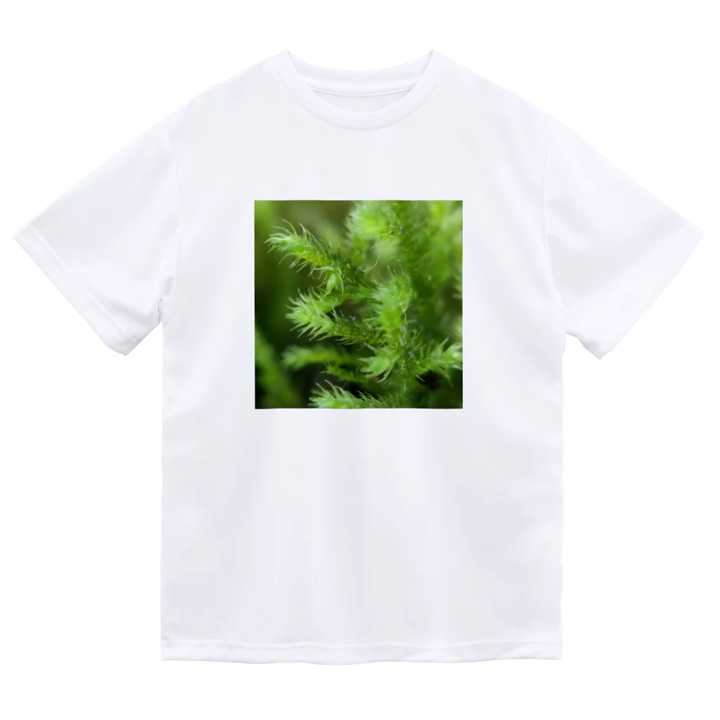 アトリエWindwingの山の天然苔 Dry T-Shirt